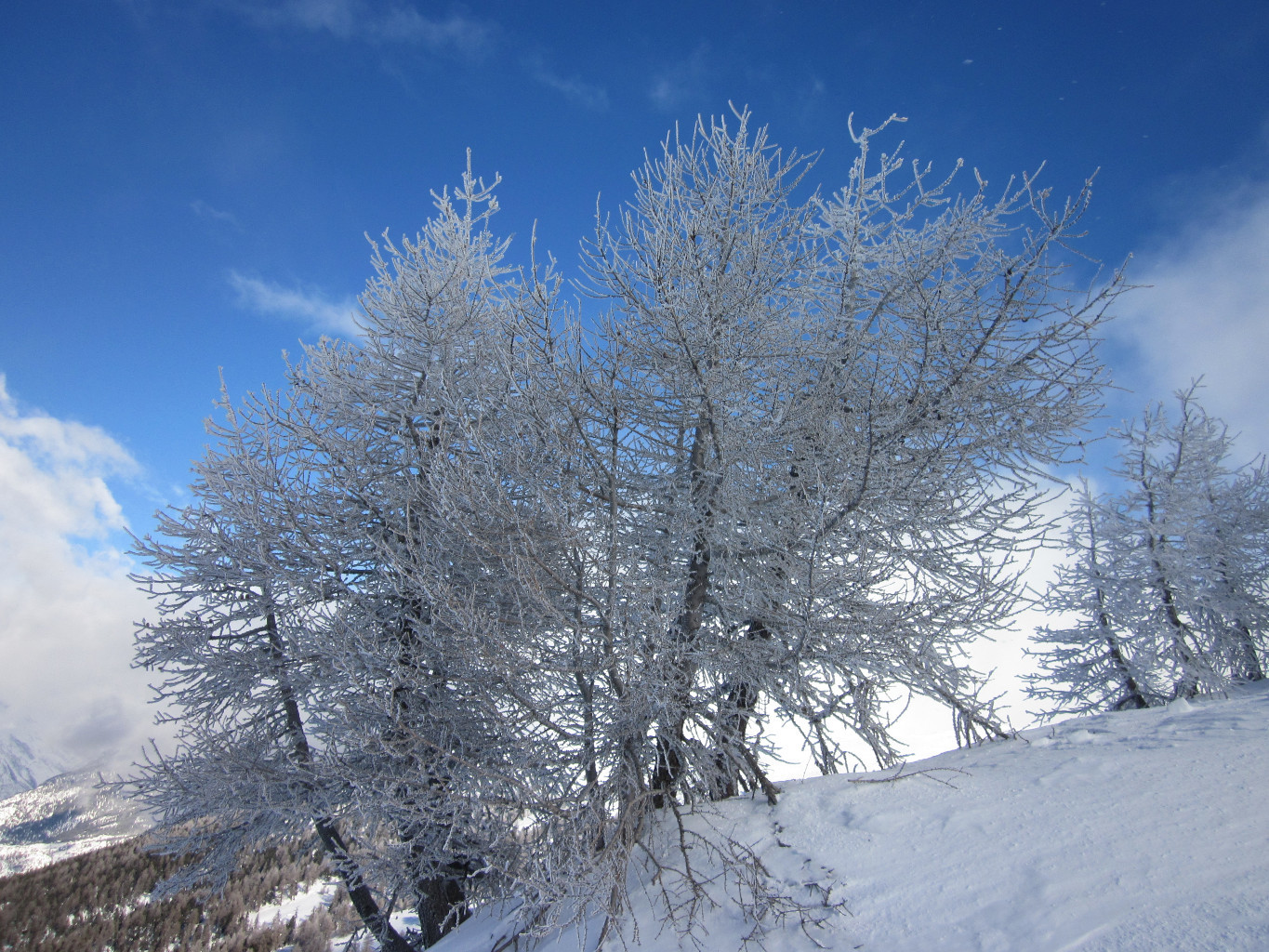 Montée vers l' Ochsehorn