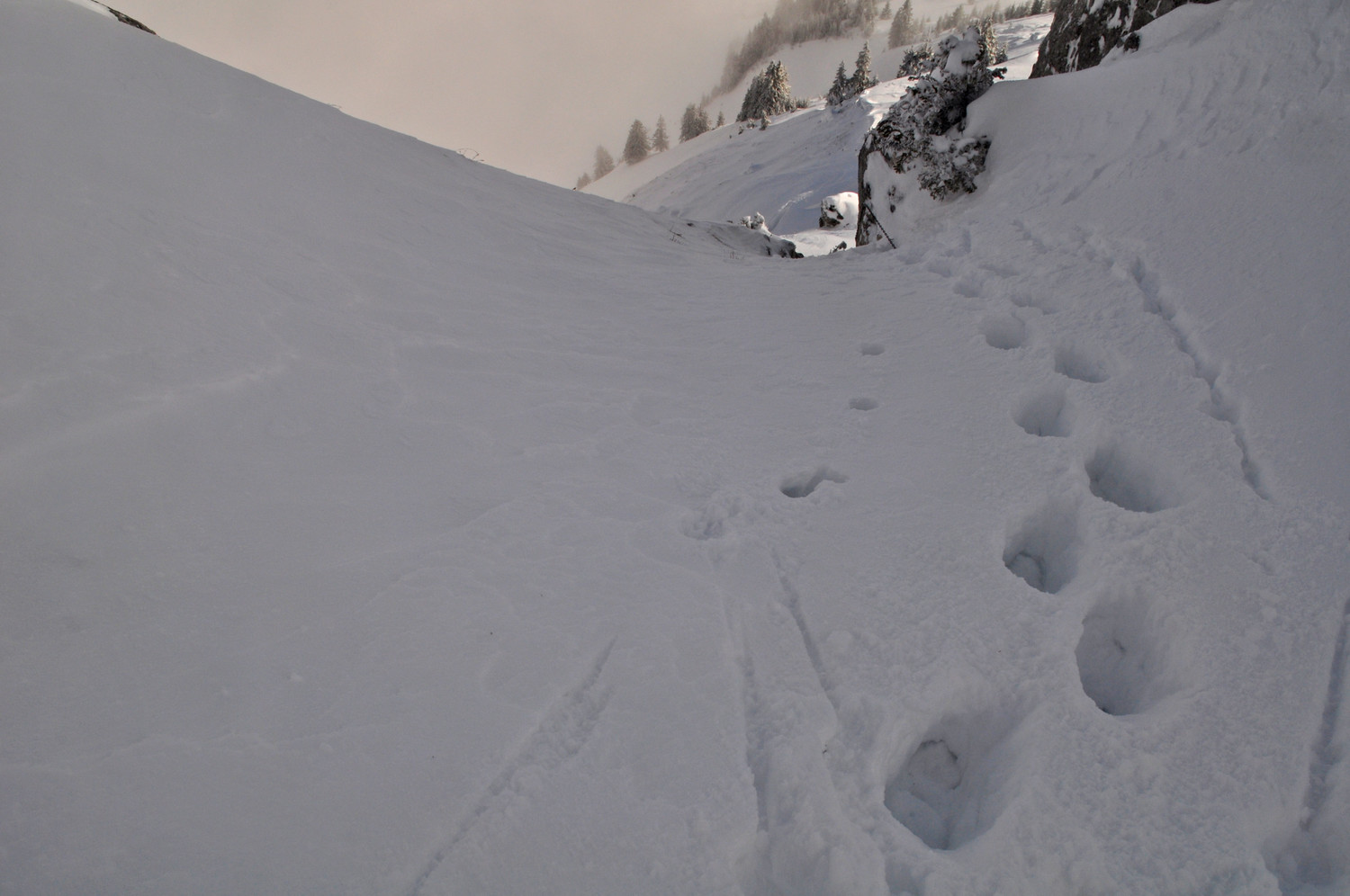 sortie du couloir, note alpine