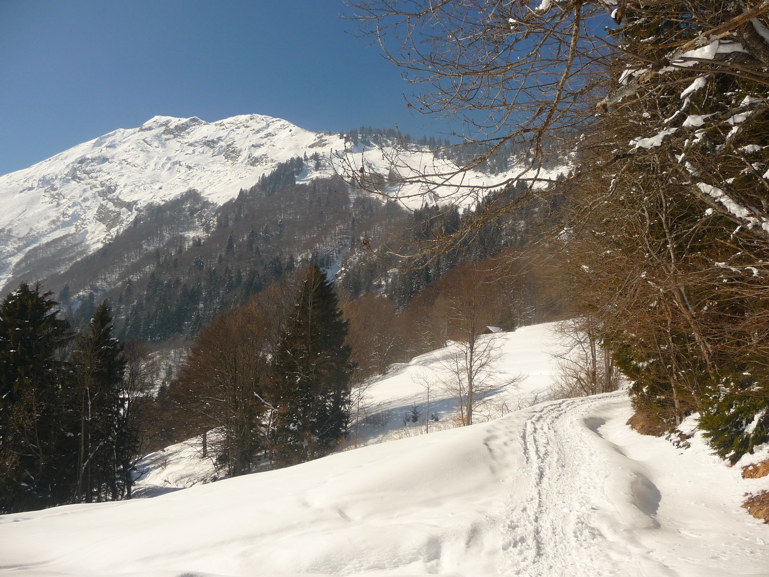 Montée avec vue sur la dent de Cons