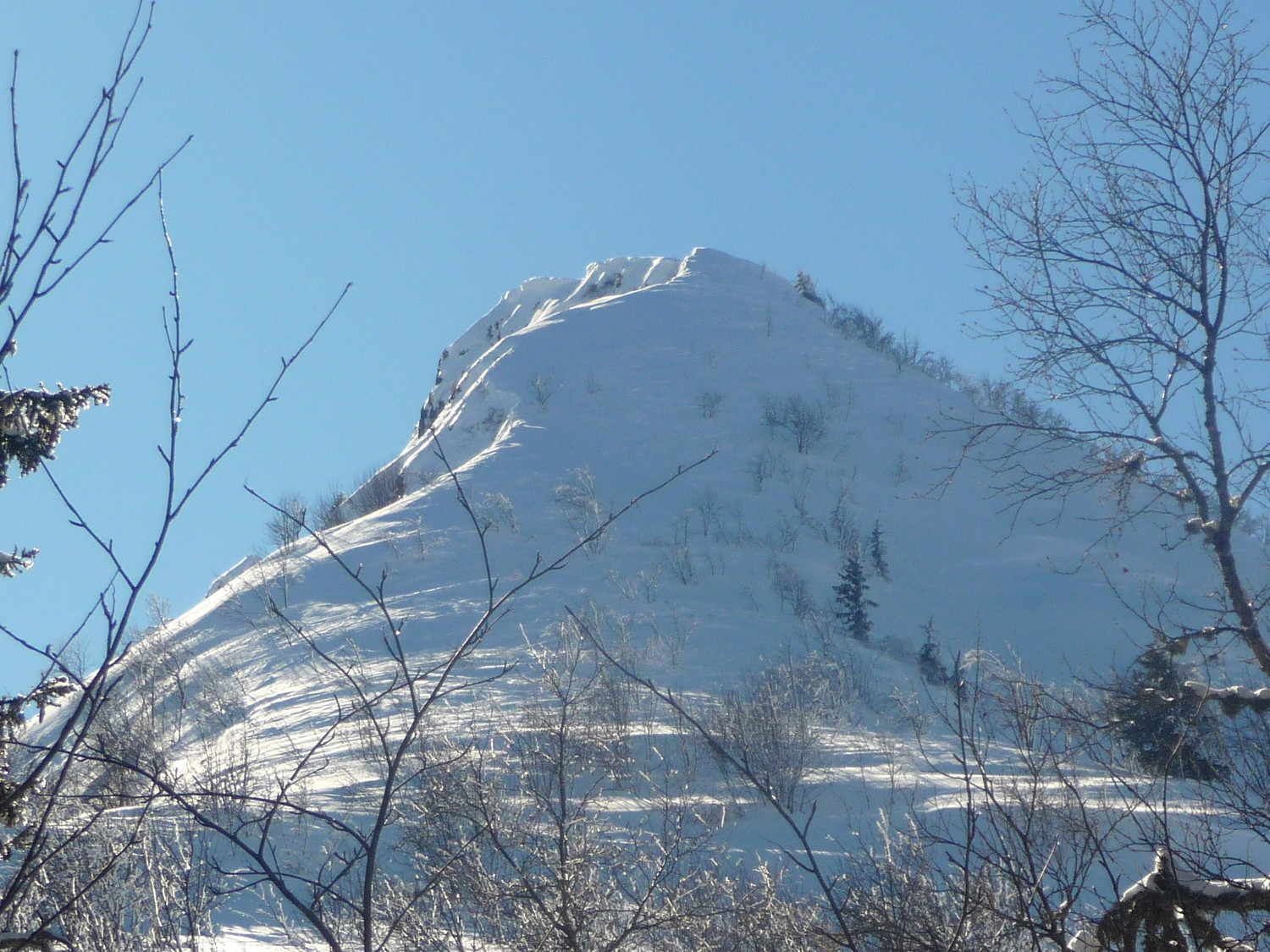 Antécime de la dent de Cons