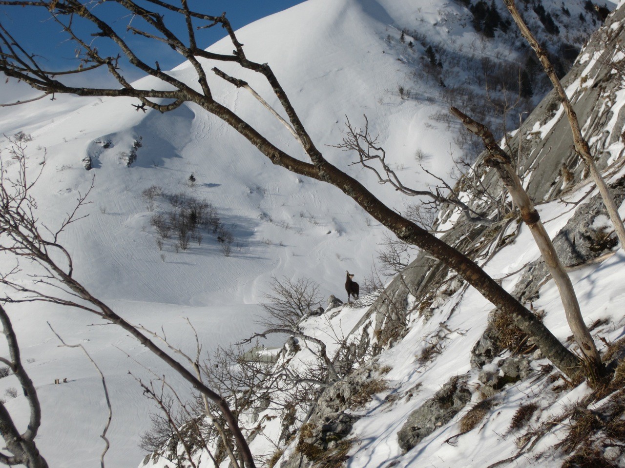 vue sur Narderant