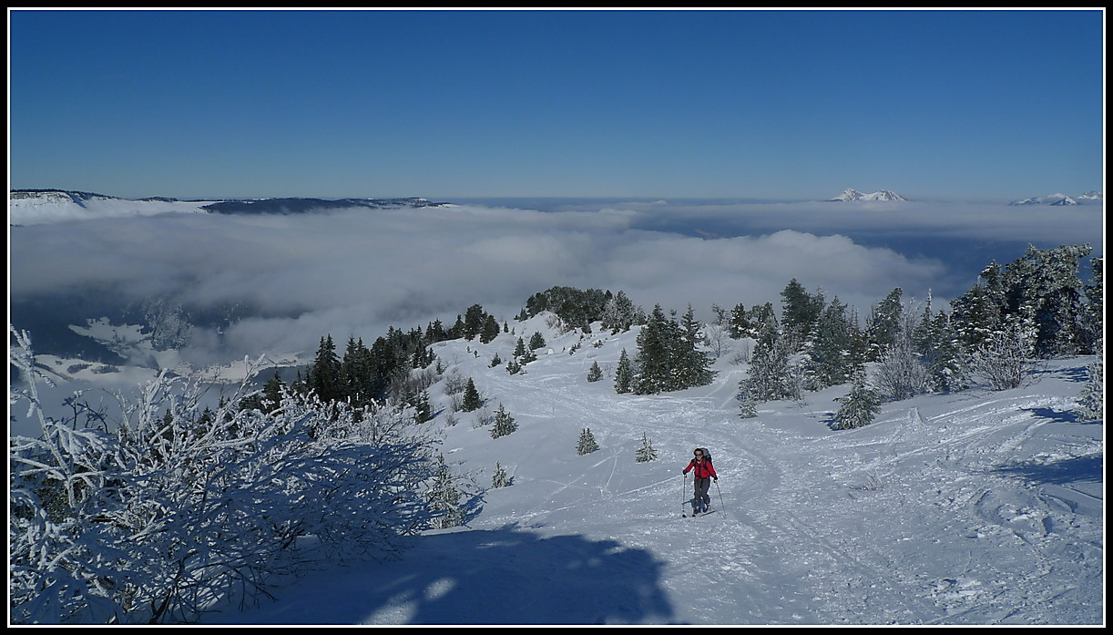Vers 1700m en versant W du Moucherotte