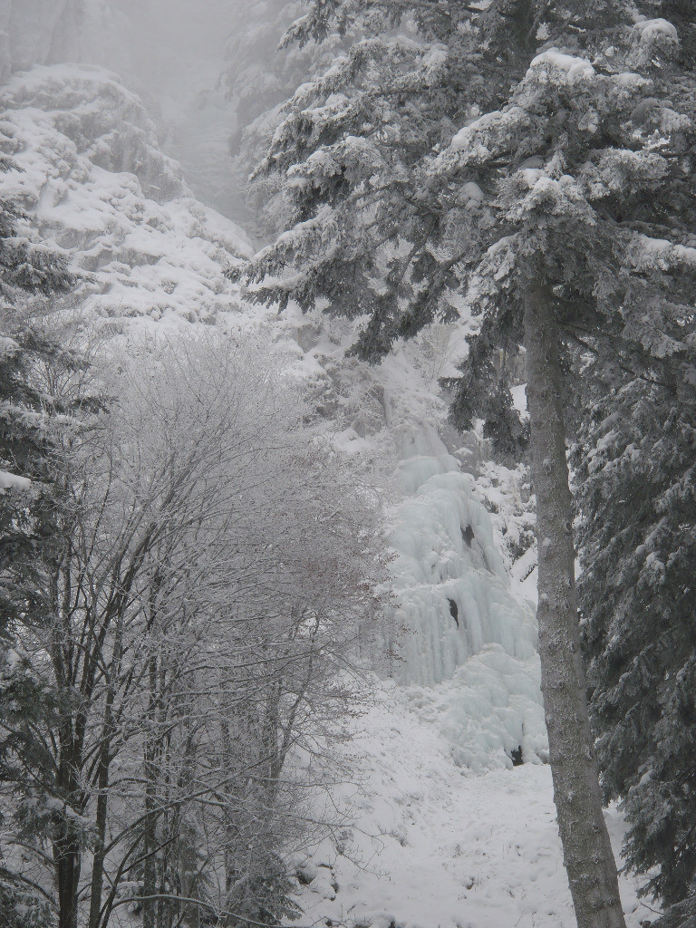 cascade vue de l'approche
