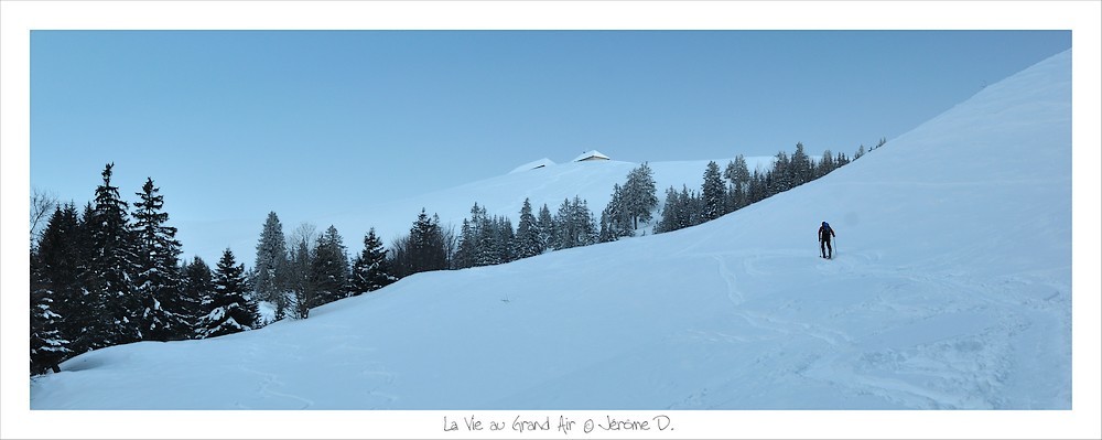 on sort de la forêt