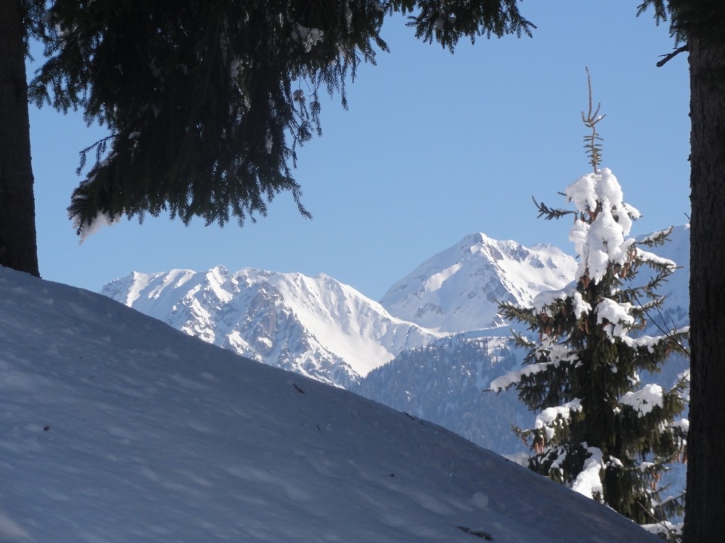 La Pointe du Dard et Le Grand Mont