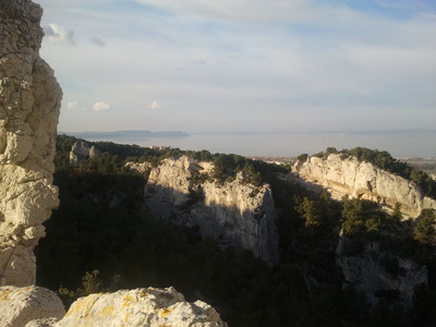 La grande face