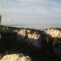La grande face