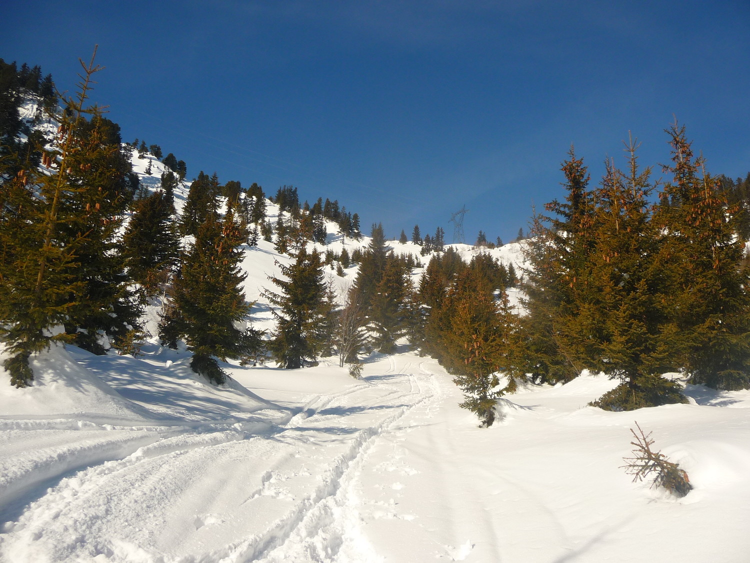 Arrivée vers le pylone