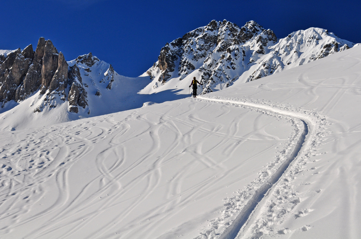 courbe, trace et cicle