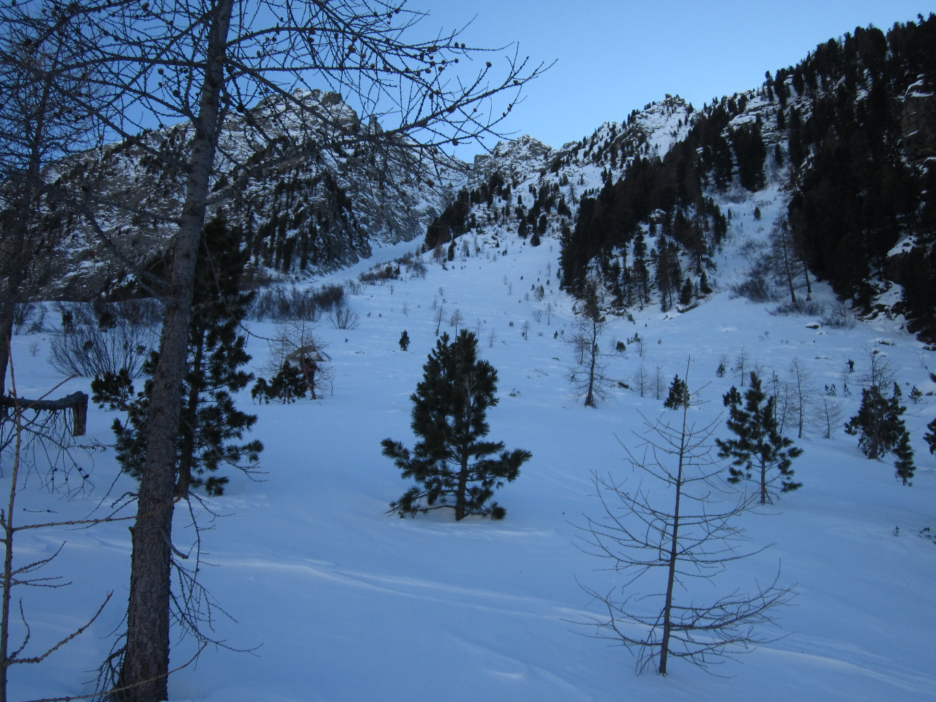 dans la foret. Nous avons terminée..
