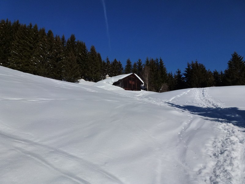 Petit chalet bien sympathique