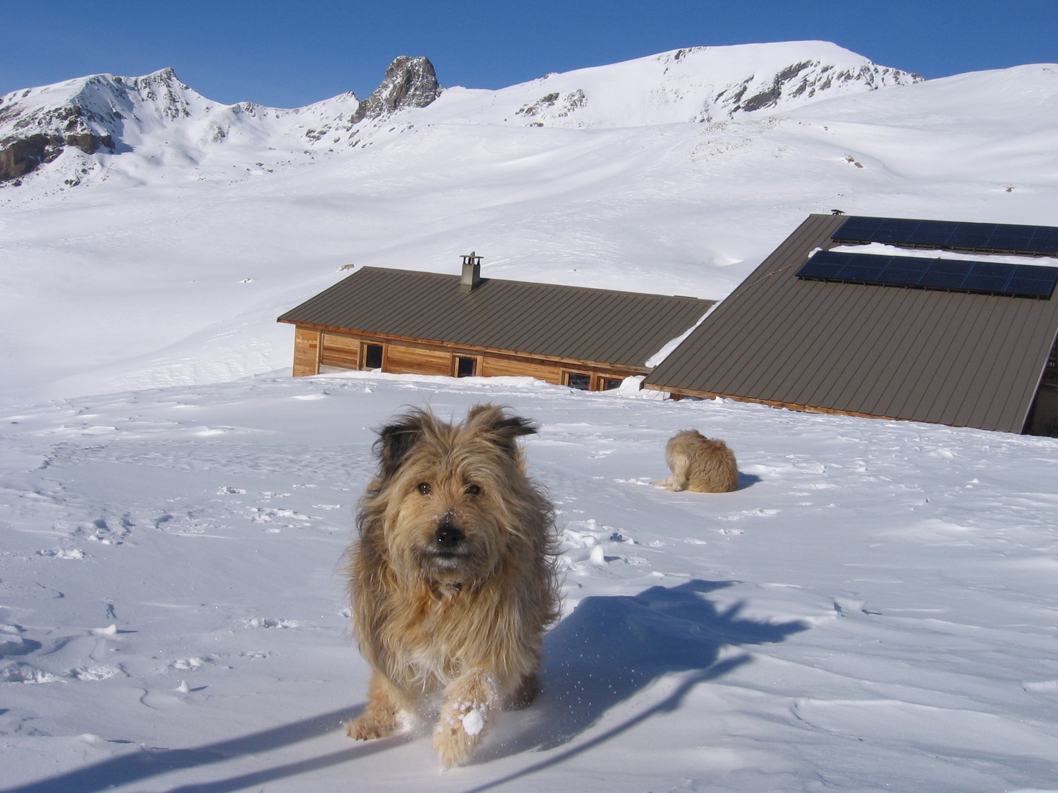 Tour du Queyron : accueil au refuge de la Blanche