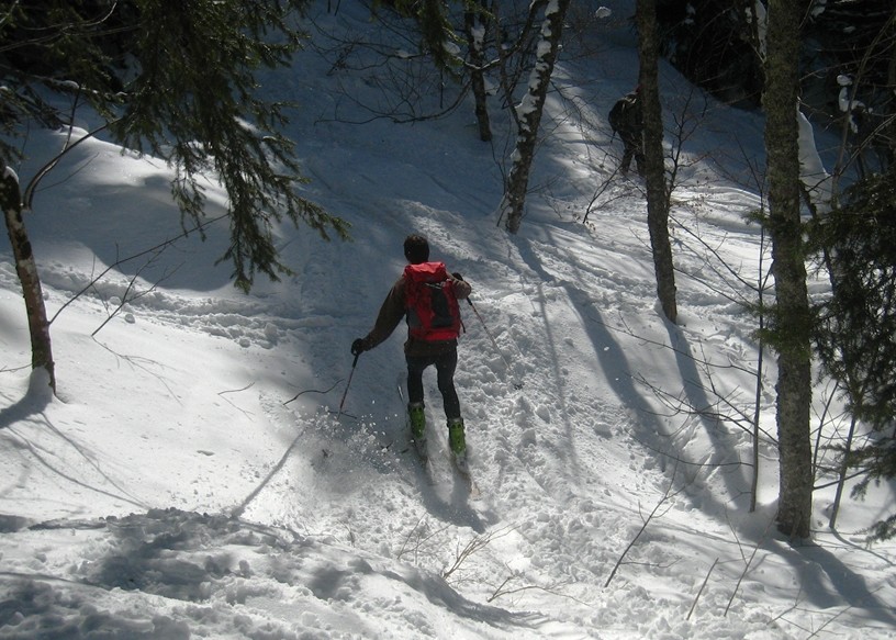 Ski forêt en Chartreuse