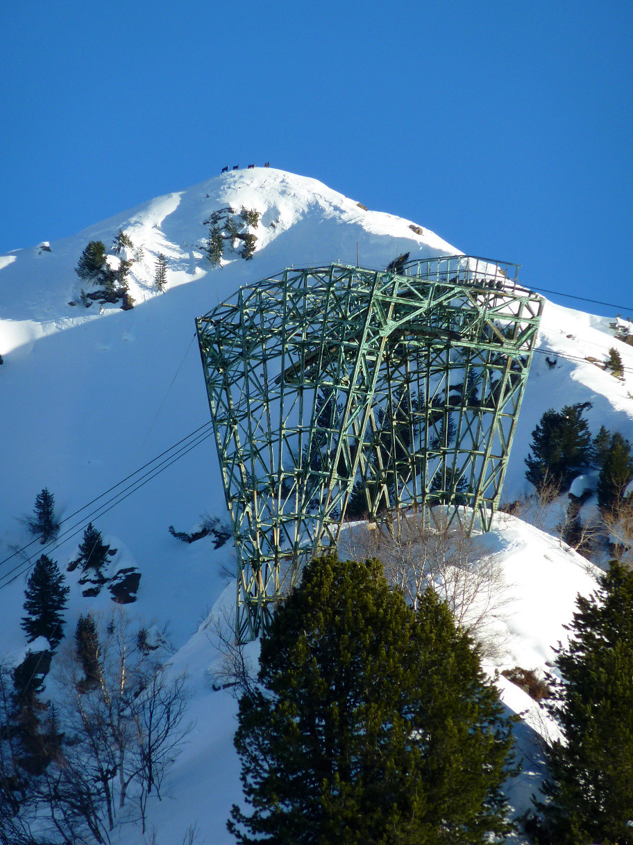 Chamois sur la crête de Berlanche