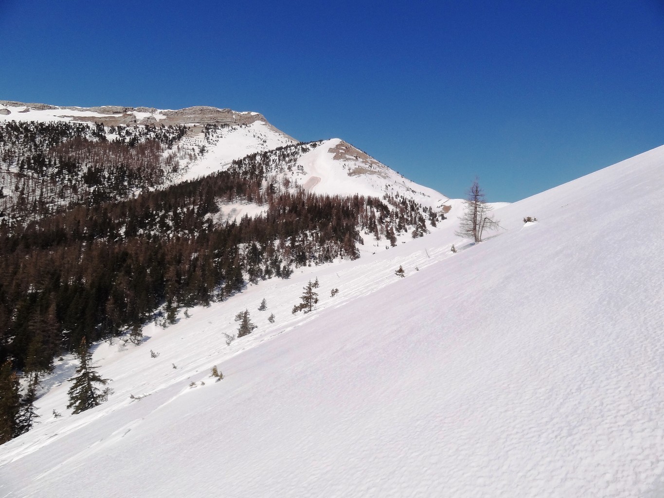 sous le col