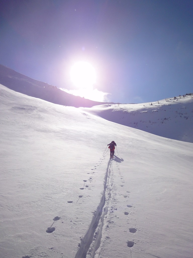 Montée à la Pointe de Lachau (suite)