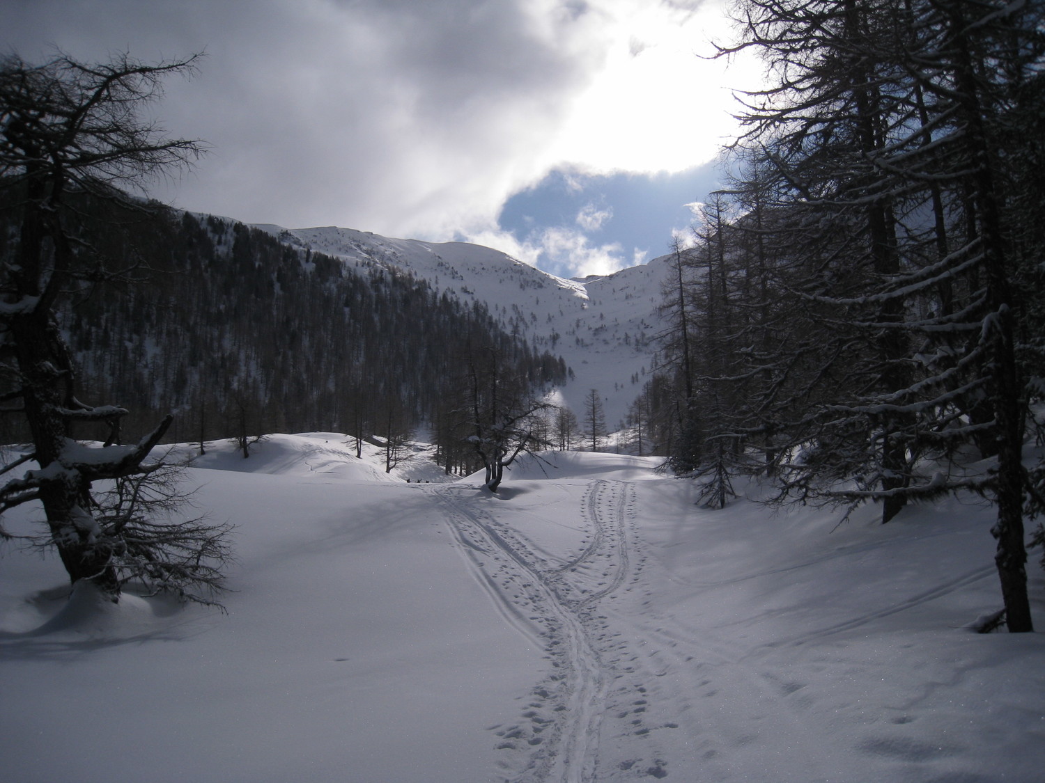 en sortant de la fôret - chalet Giète (1885m)