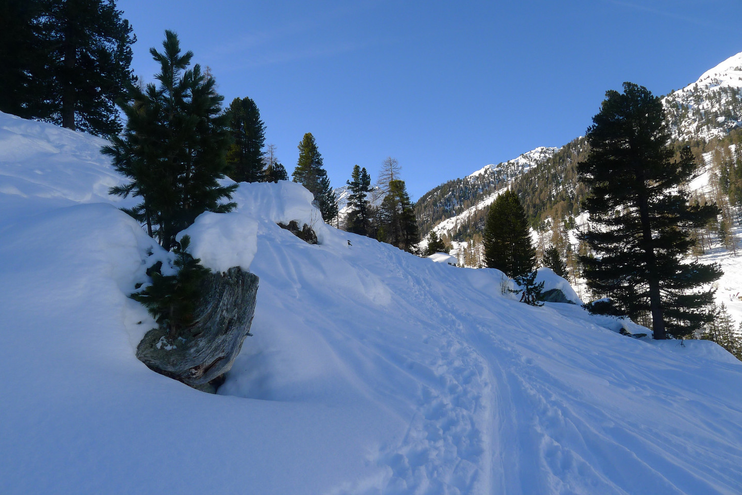 Montée après la route de Siviez