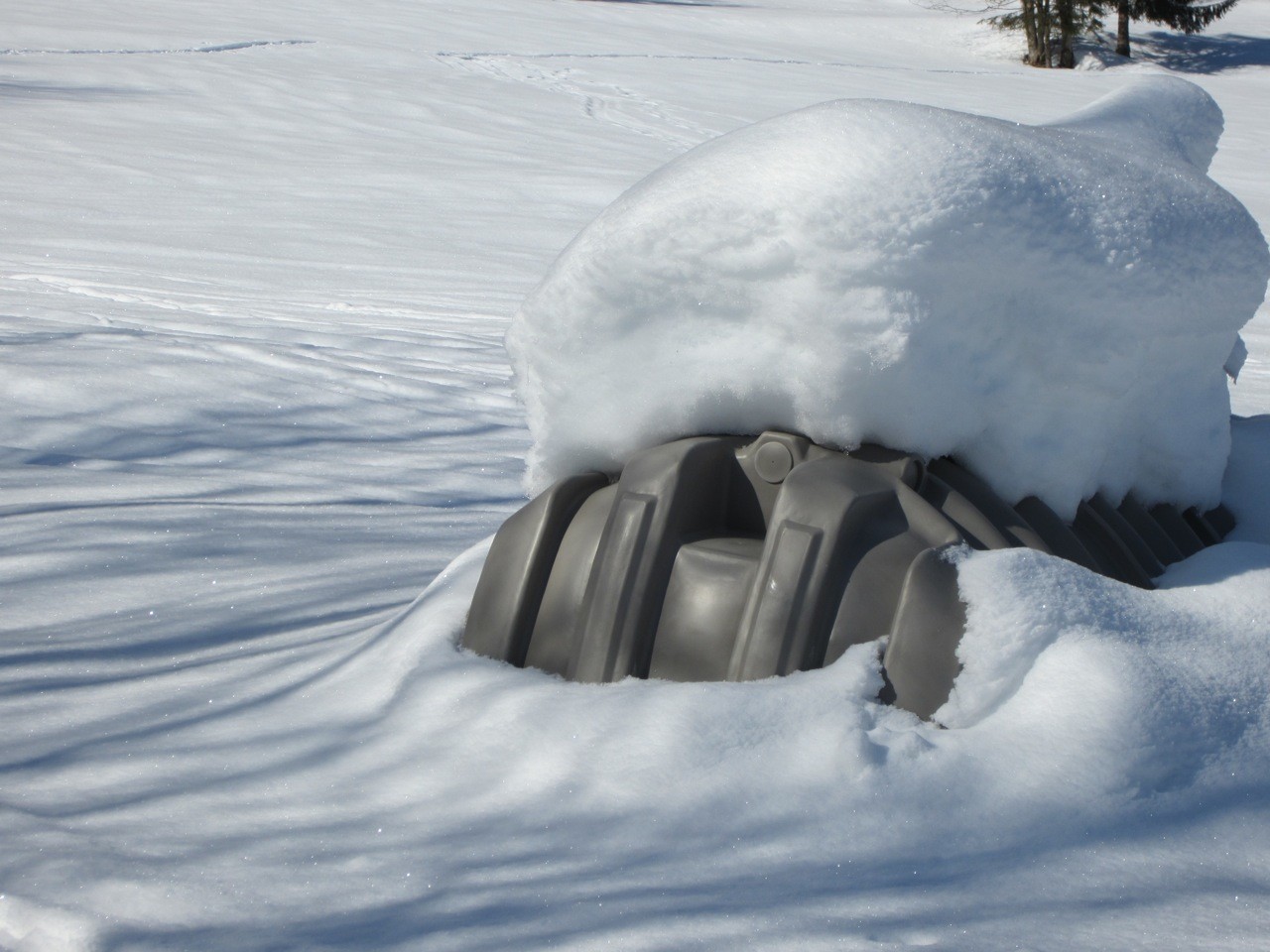oeuvre d'art snow art