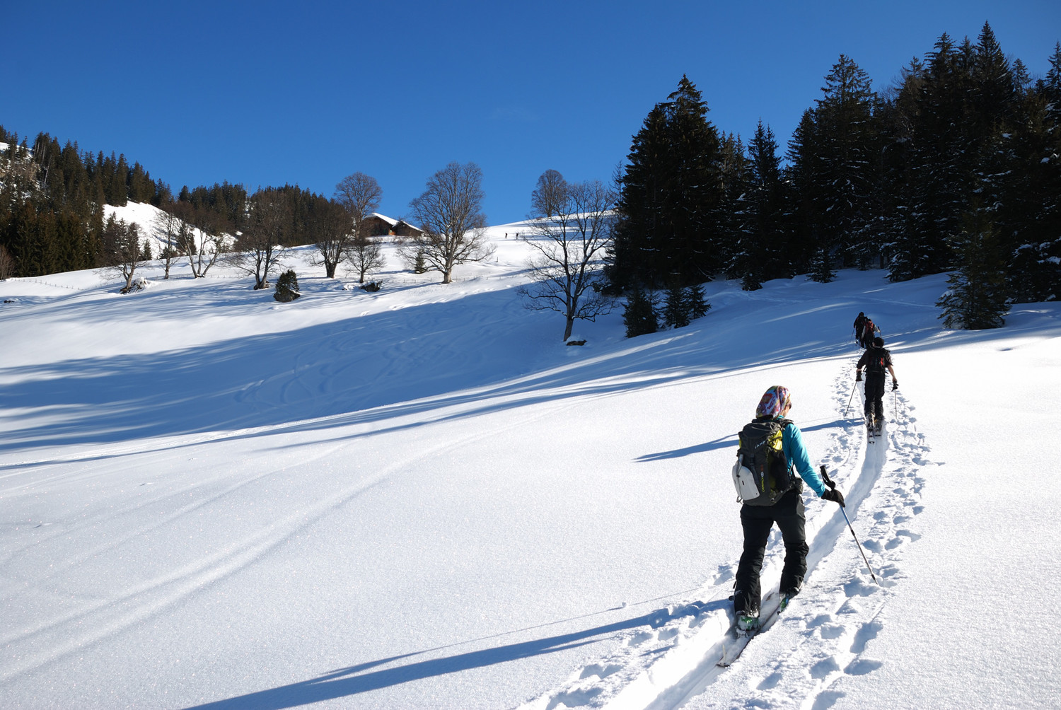 Vers 1400m dans la montée au Niderhorn