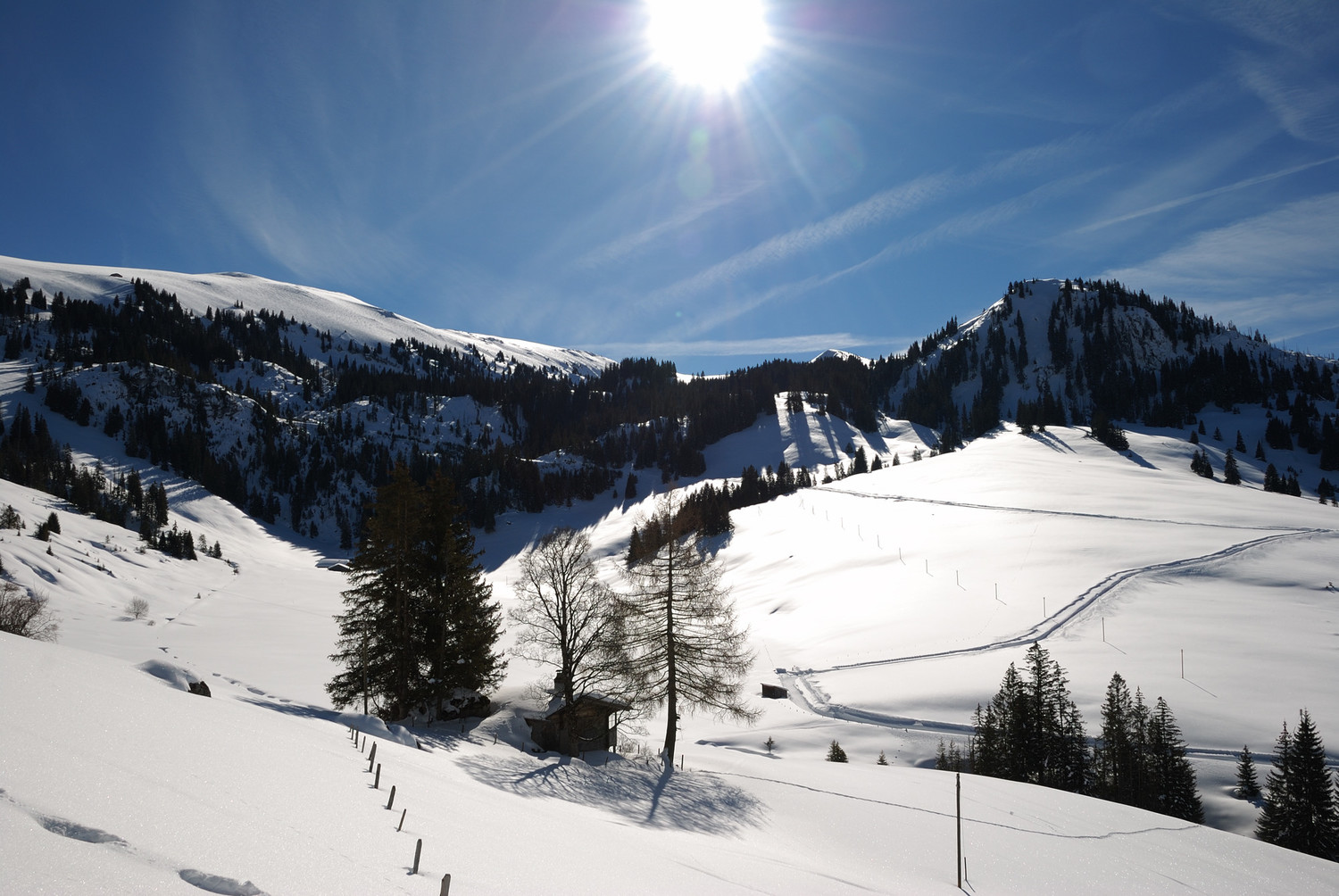 Montée au Niderhorn vers 1650m