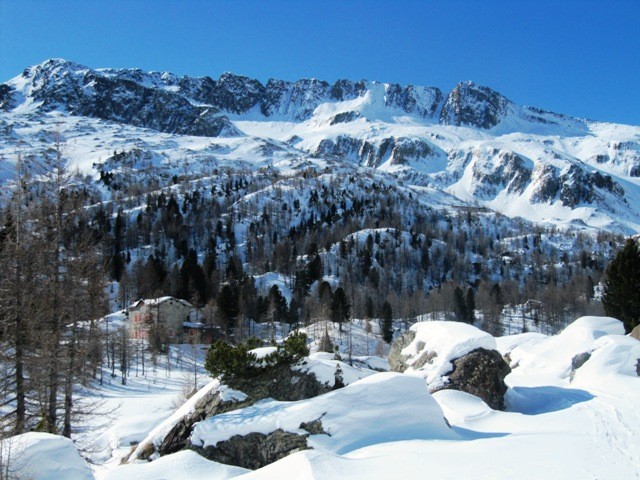 Rif.Bosio