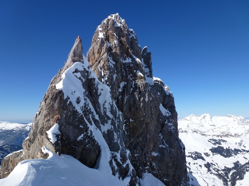 Paré de Joux