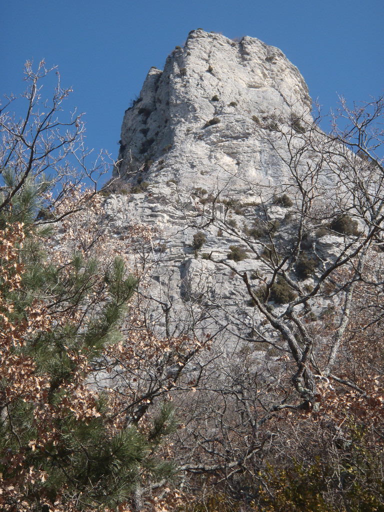 La poupoune