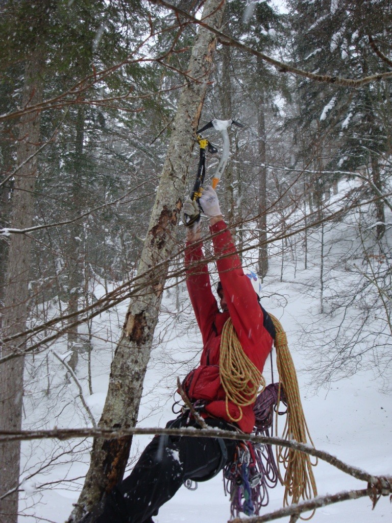 dry tooling sur arbre mort! ca ancre mieux que dans du glacon!