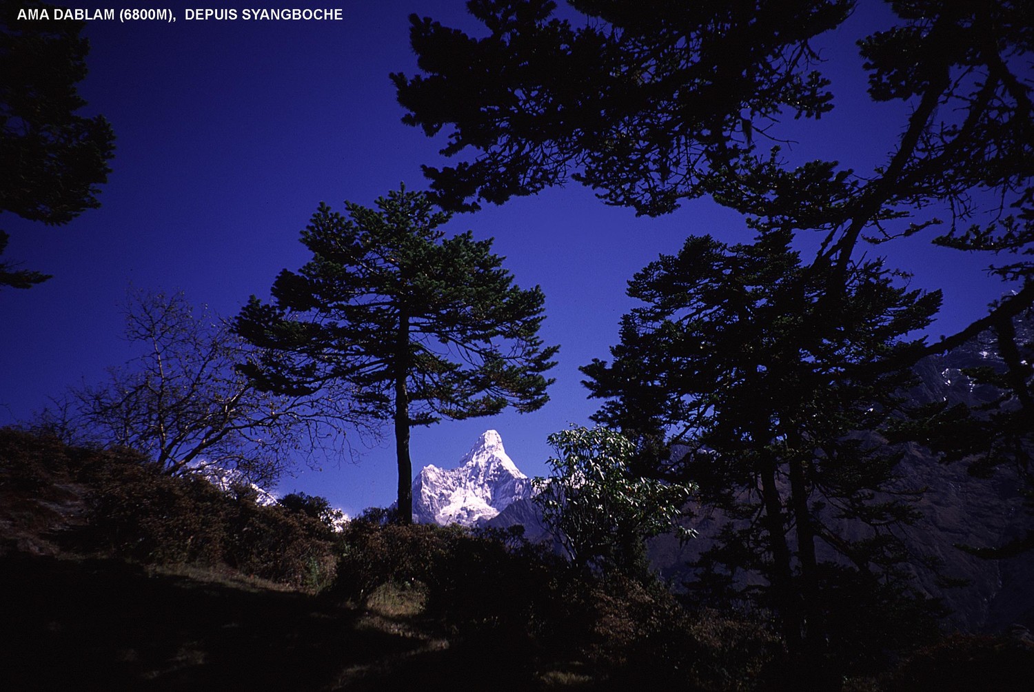 Ama Dablam depuis Syangboche