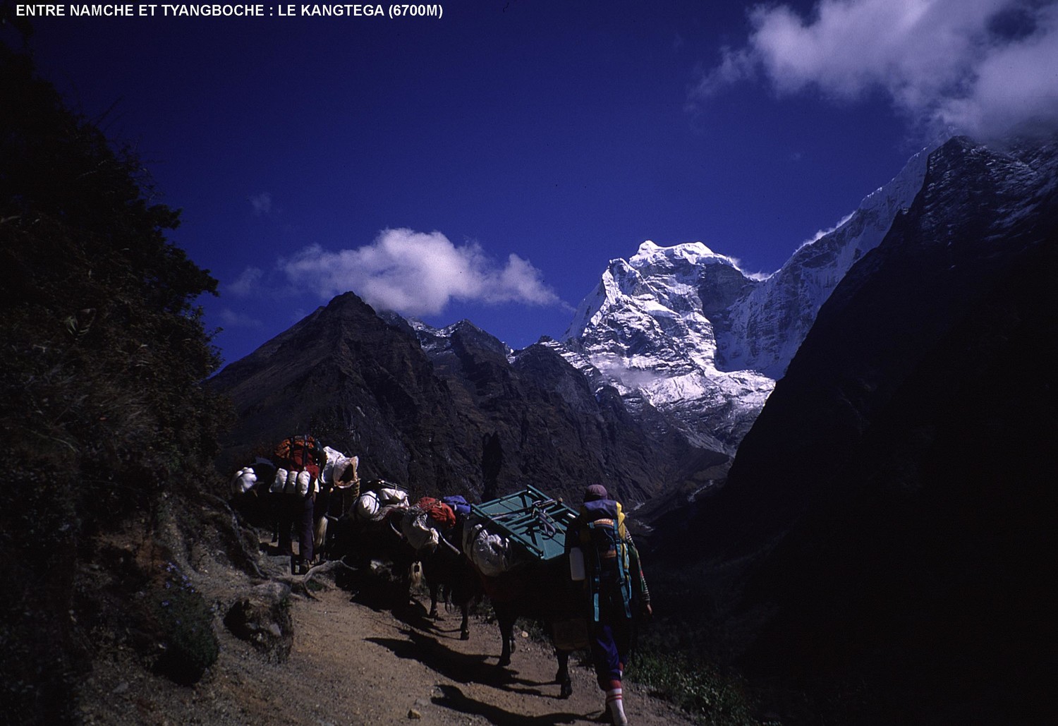 Entre Nyamche et Tyangboche : le Kangtega (6700m)
