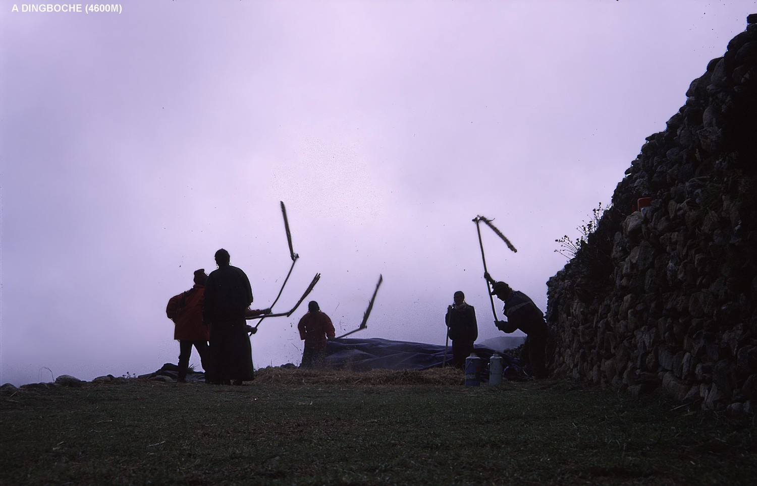 A Dingboche, battage du grain