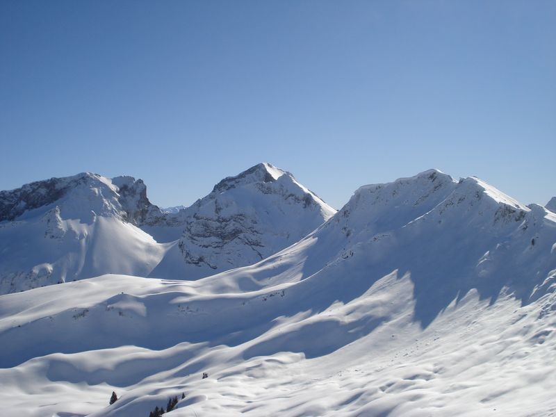 Gros Brun tout blanc au loin