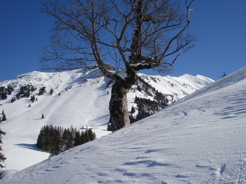 Descente de Pataflon