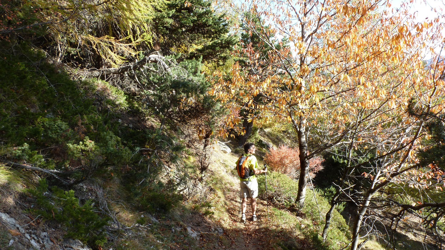 Bertrand version automne