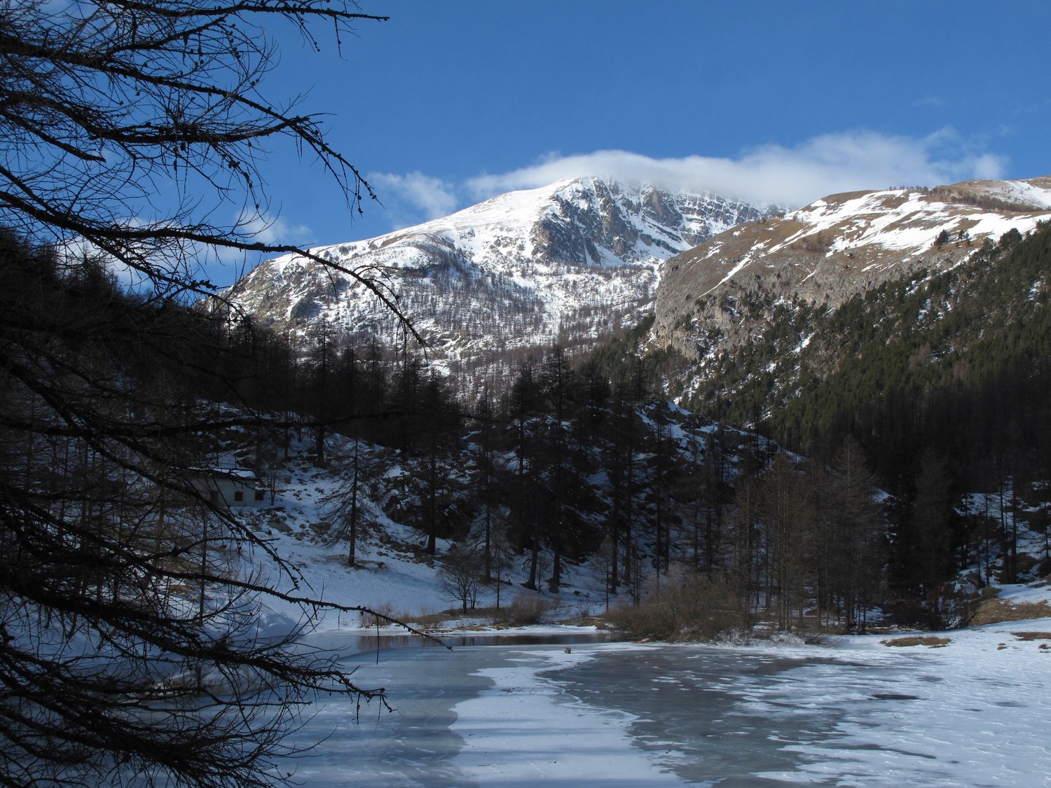 Le Mont bégo au fond
