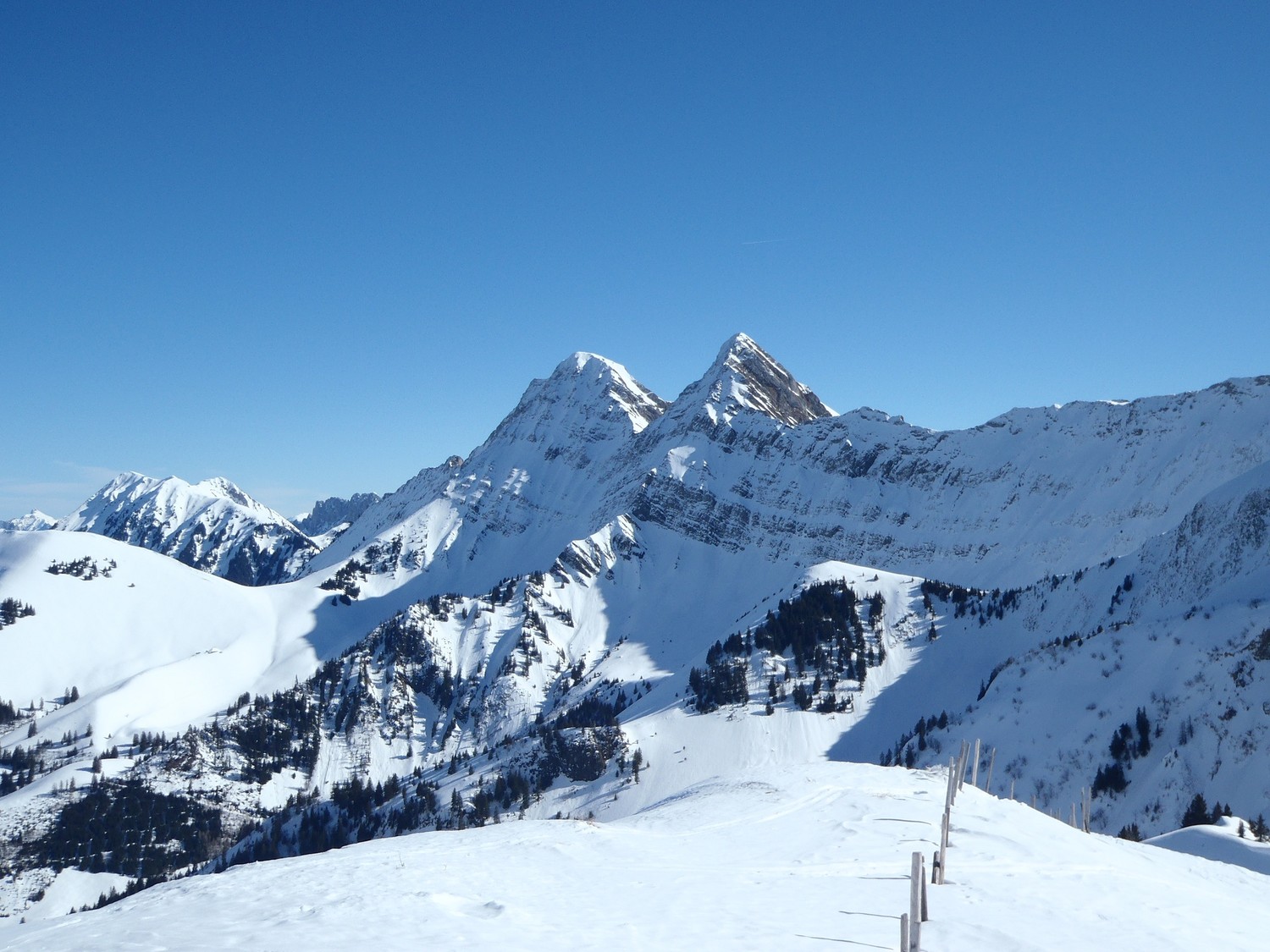 brenleire-folièran