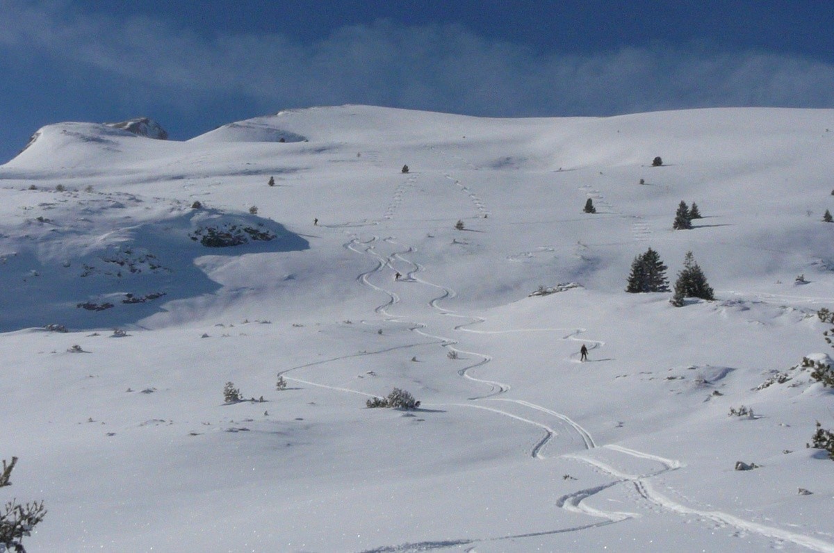Crête de l'Etoile - Descente