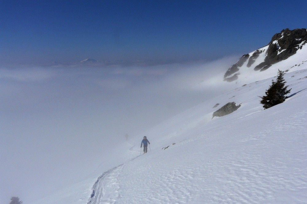 Sortie du brouillard