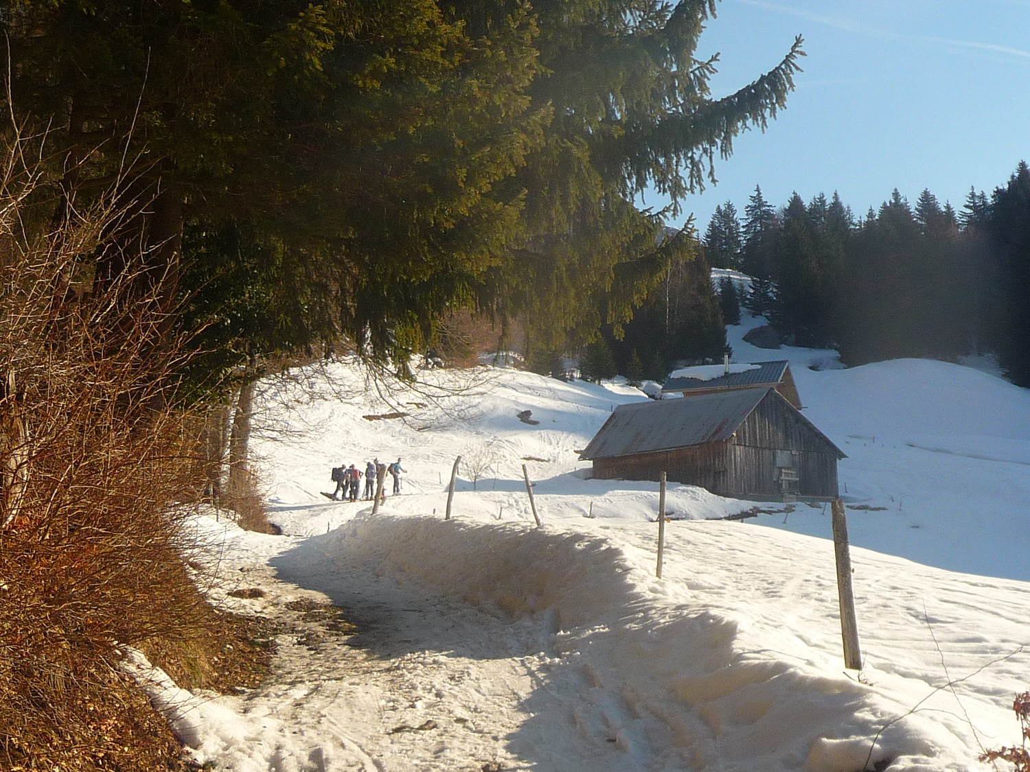montée en sous bois