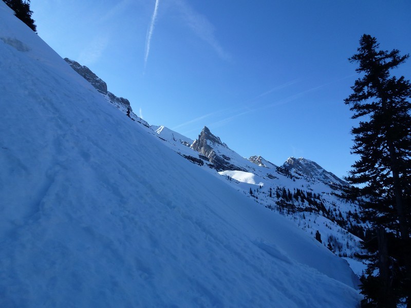 Les Aiguilles Noires