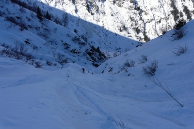 Dns le vallon de la Suchière