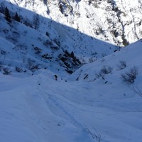 Dns le vallon de la Suchière