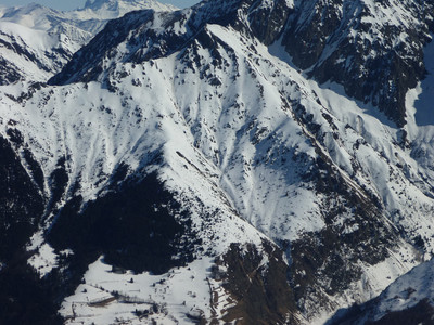 Tête de Barbabon