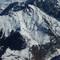 Tête de Barbabon