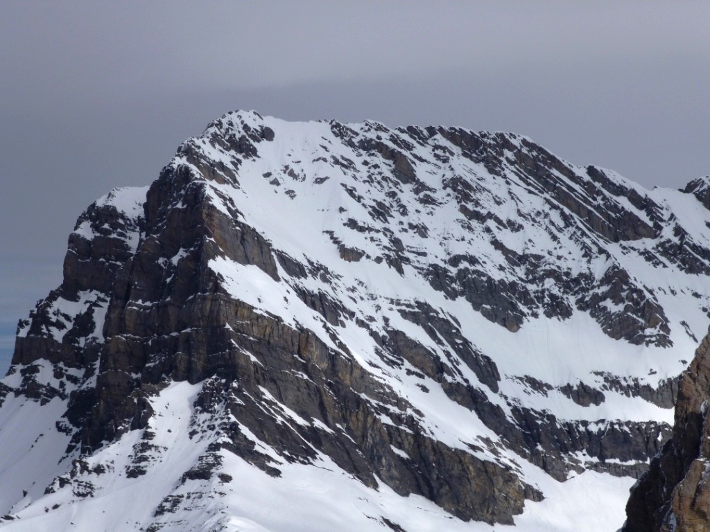 La face S du Grand Muveran par fort enneigement en février 2012 : Les barres inférieures sont enneigées