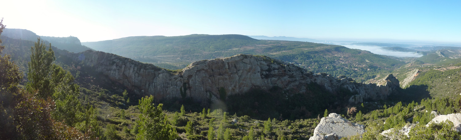 Panorama