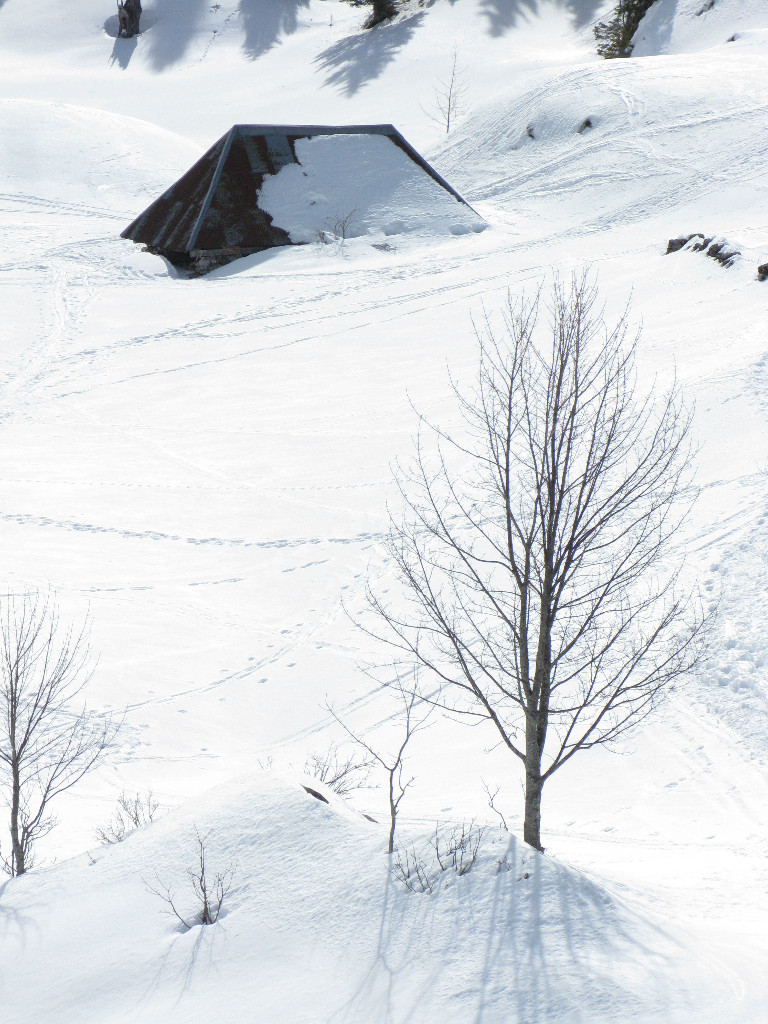 Chalet sous le col de la Cochette