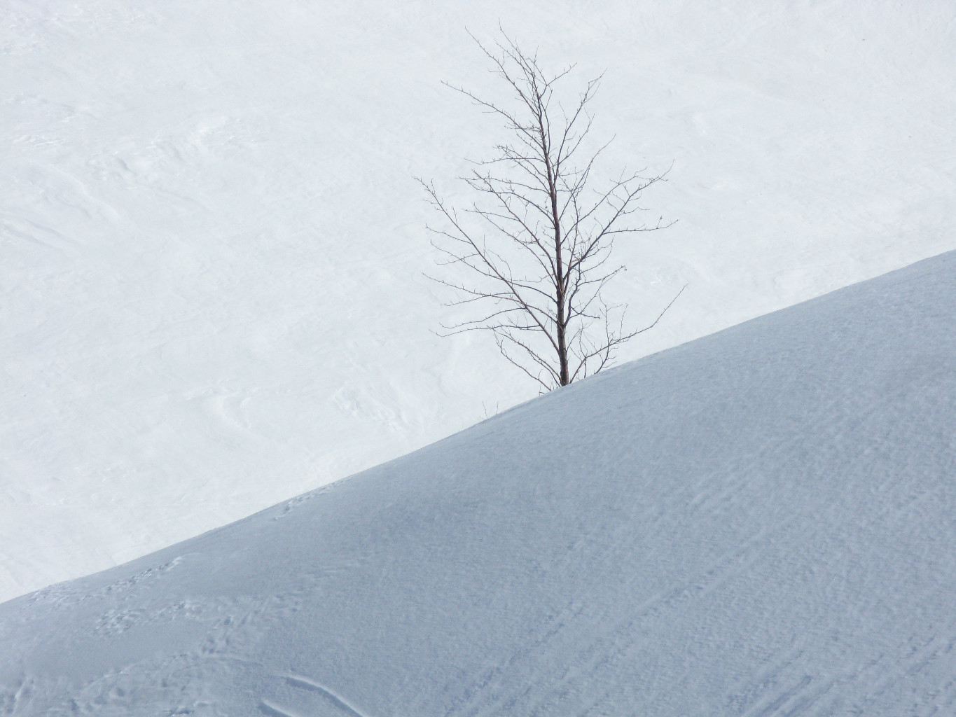 Solitude