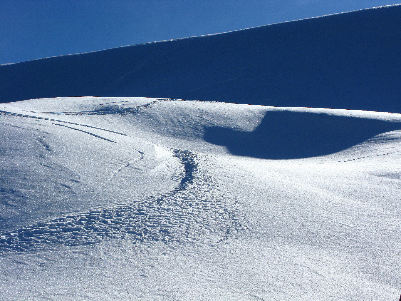 Neiges et Lumières